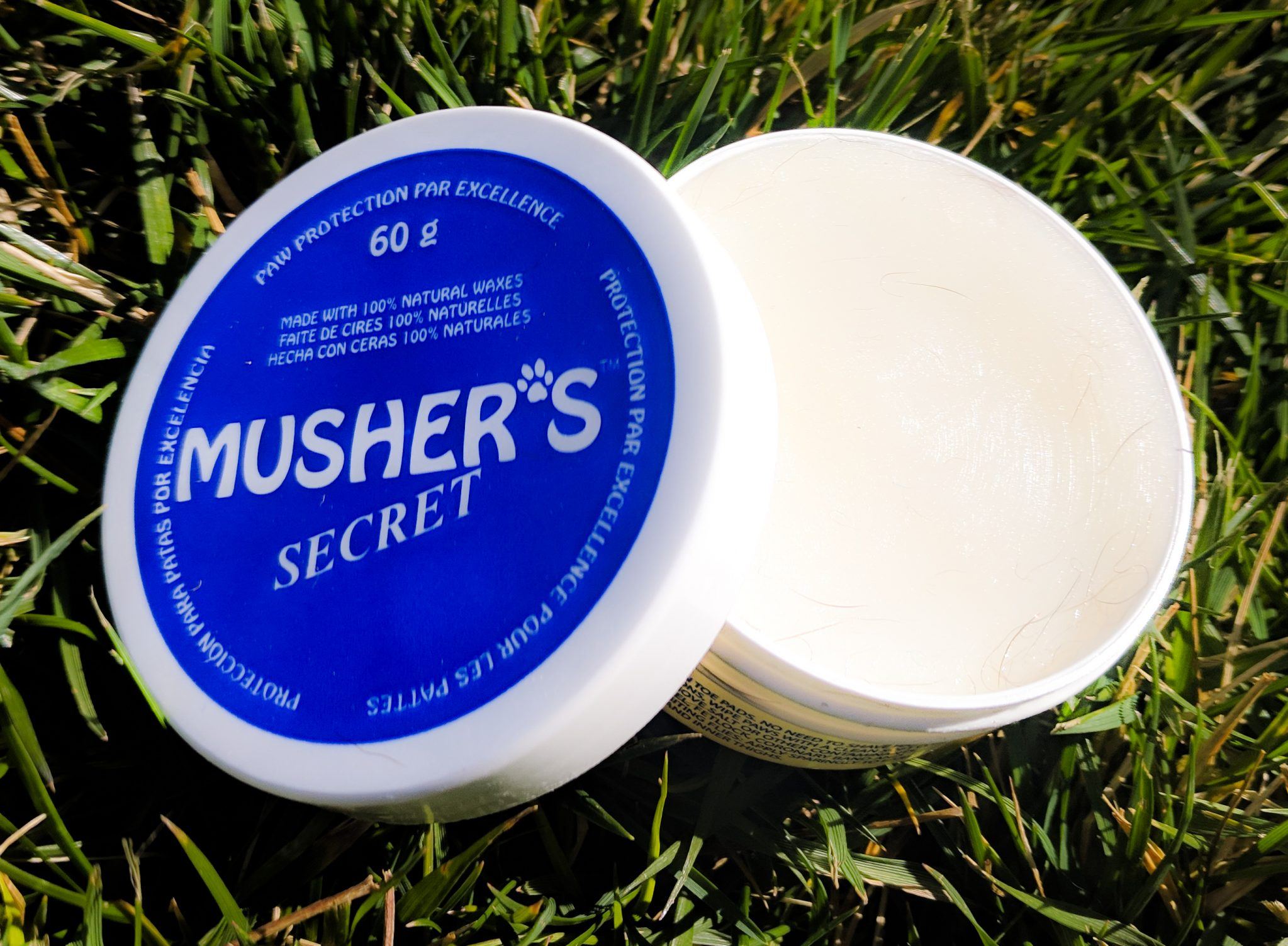 Musher's Secret Paw Wax Review: The Backpacker's Guide to Paw Protection