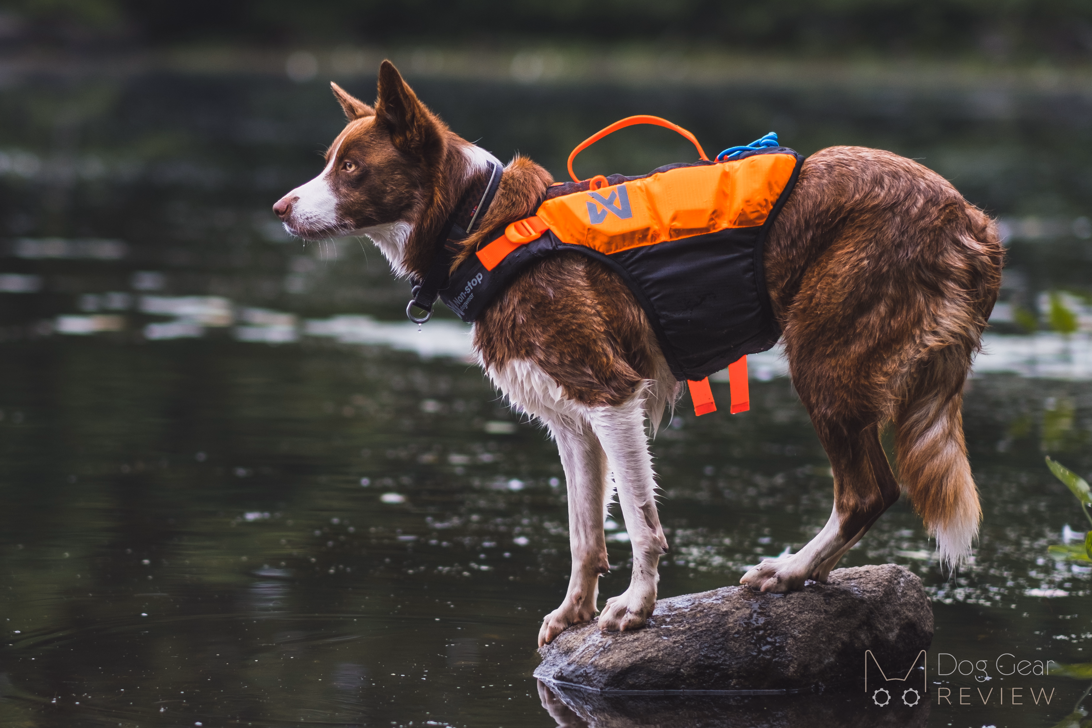 Non-stop Dogwear Protector Life Jacket