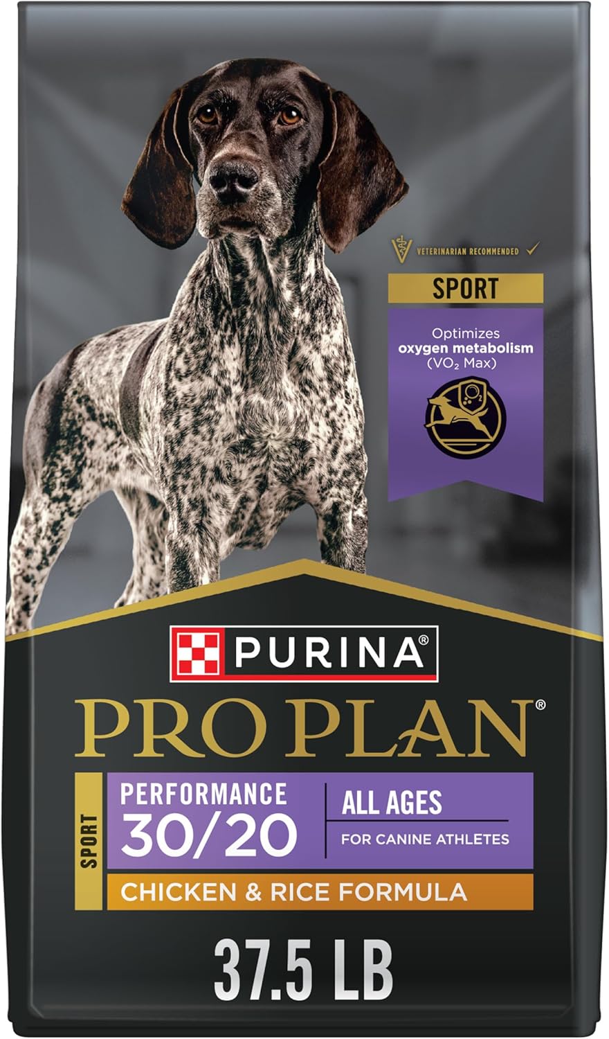 Best Dog Food for Active & High-Energy Dogs (2026)