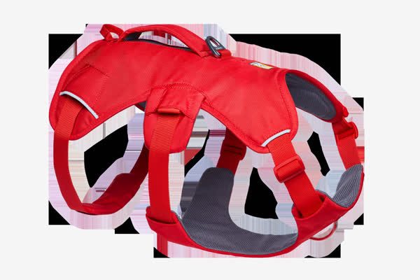 Ruffwear Web Master Harness
